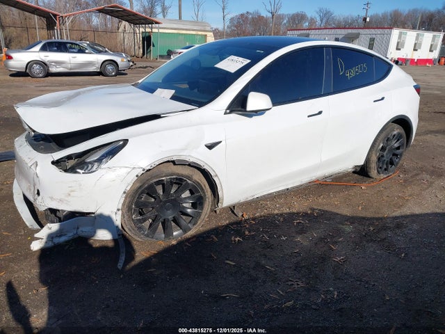2023 TESLA MODEL Y 7SAYGDEE5PA030956 Photo 1