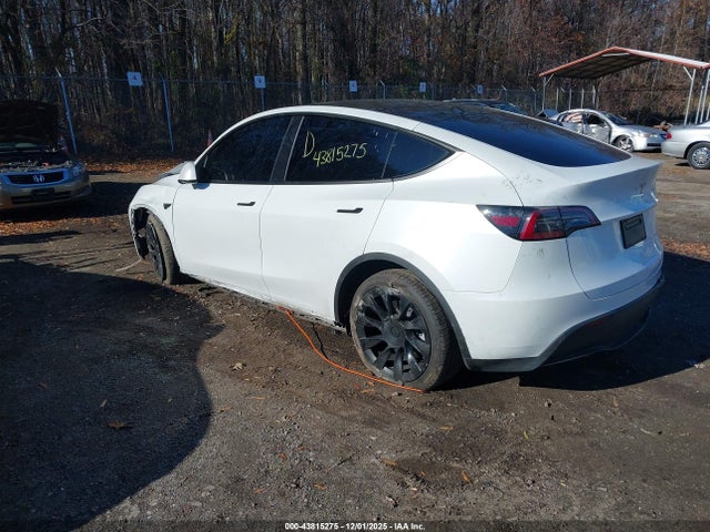 2023 TESLA MODEL Y 7SAYGDEE5PA030956 Photo 2