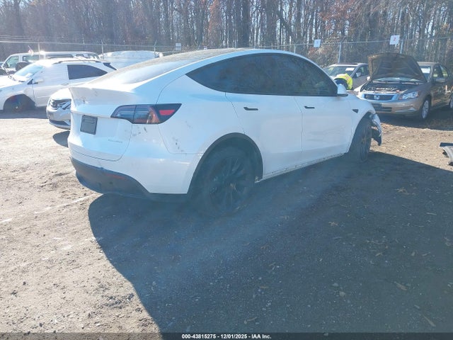 2023 TESLA MODEL Y 7SAYGDEE5PA030956 Photo 3