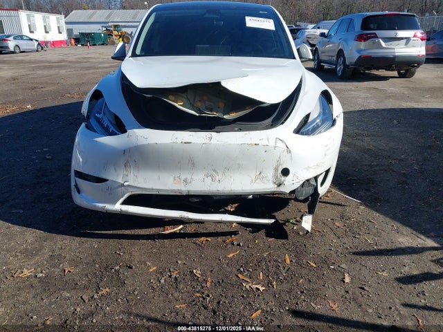 2023 TESLA MODEL Y 7SAYGDEE5PA030956 Photo 5