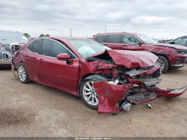 2019 TOYOTA CAMRY 4T1B11HK5KU715042