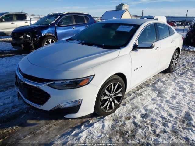 2024 CHEVROLET MALIBU 1G1ZG5ST0RF245858 Photo 1