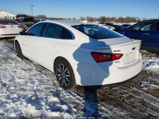 2024 CHEVROLET MALIBU 1G1ZG5ST0RF245858 Photo 2