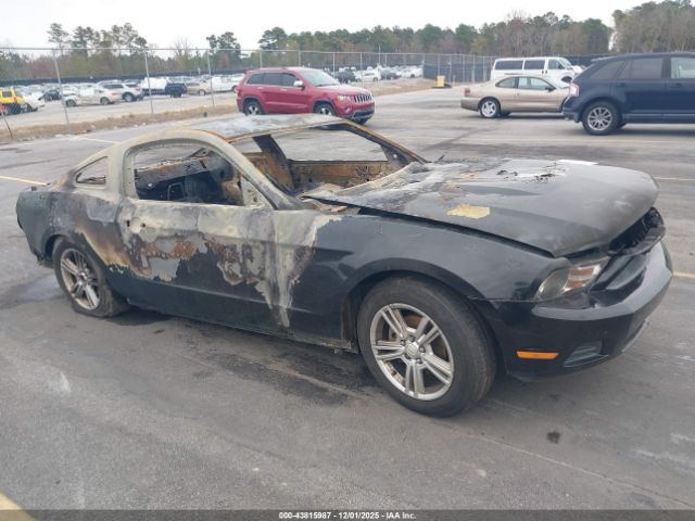 2010 FORD MUSTANG 1ZVBP8AN1A5172715