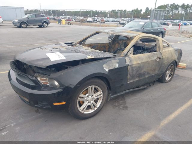 2010 FORD MUSTANG 1ZVBP8AN1A5172715 Photo 1