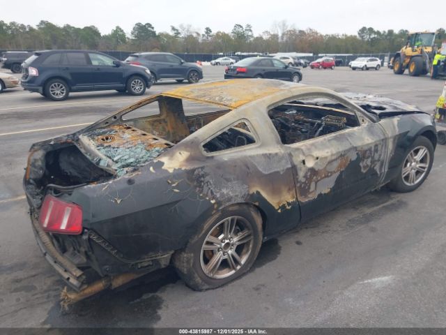 2010 FORD MUSTANG 1ZVBP8AN1A5172715 Photo 3