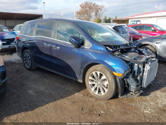 2024 HONDA ODYSSEY 5FNRL6H61RB064654
