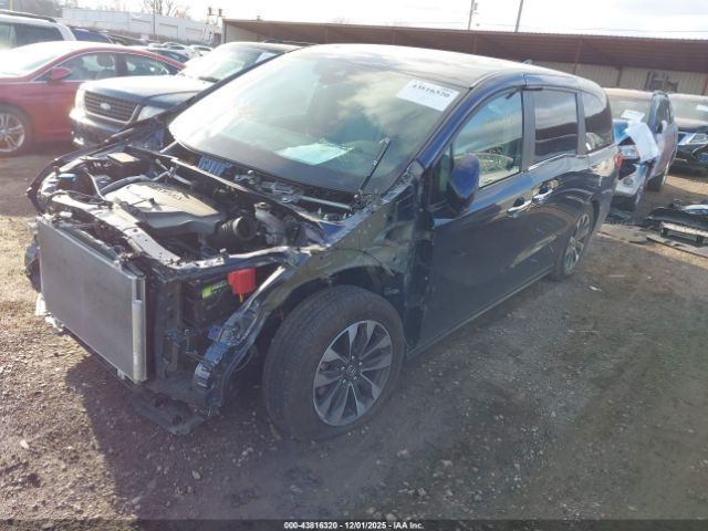 2024 HONDA ODYSSEY 5FNRL6H61RB064654 Photo 1