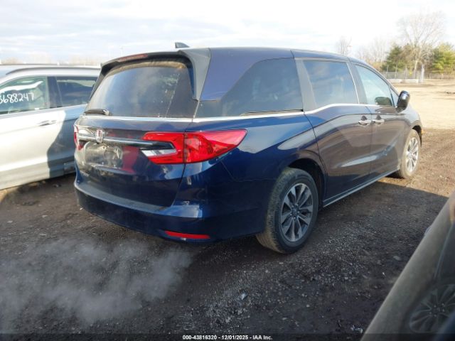 2024 HONDA ODYSSEY 5FNRL6H61RB064654 Photo 3