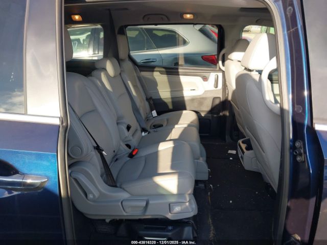 2024 HONDA ODYSSEY 5FNRL6H61RB064654 Photo 7