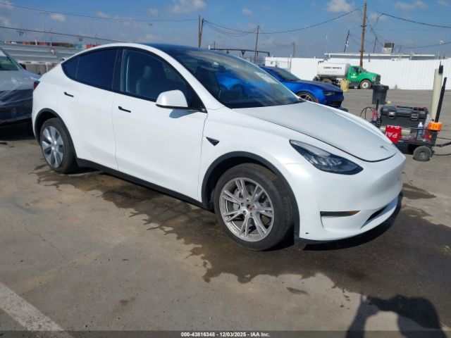 2023 TESLA MODEL Y 7SAYGDEE3PA159486
