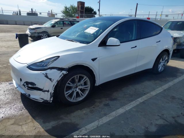 2023 TESLA MODEL Y 7SAYGDEE3PA159486 Photo 1