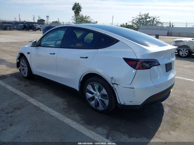 2023 TESLA MODEL Y 7SAYGDEE3PA159486 Photo 2