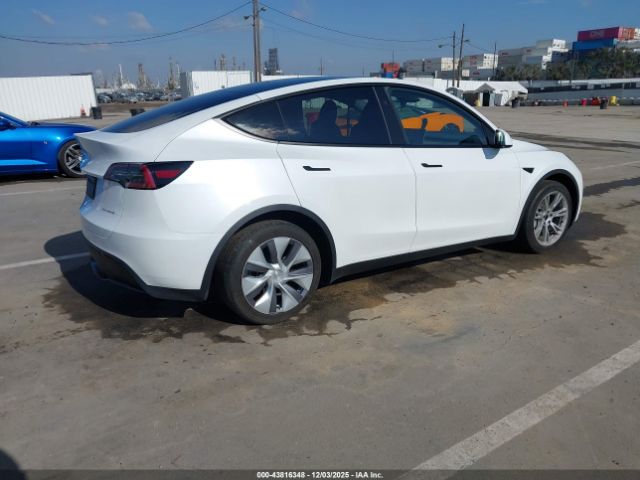 2023 TESLA MODEL Y 7SAYGDEE3PA159486 Photo 3