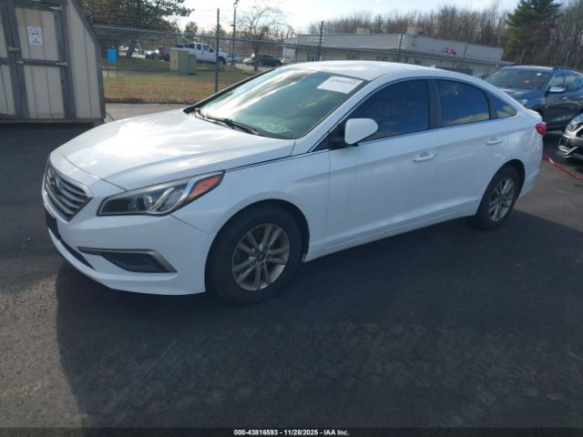 2017 HYUNDAI SONATA 5NPE24AF3HH439976 Photo 1