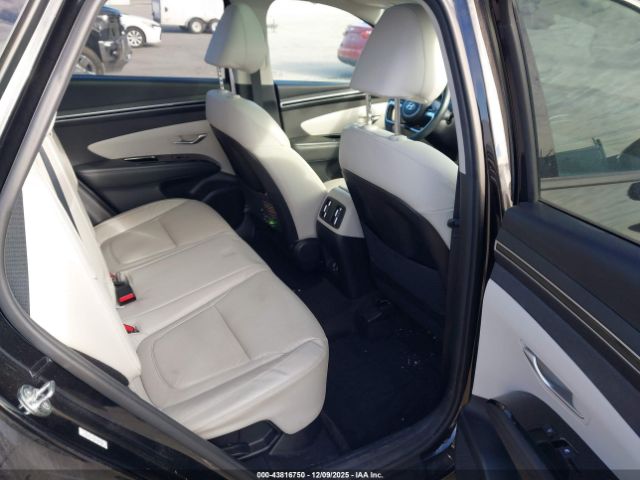 2023 HYUNDAI TUCSON HYBRID KM8JECA18PU090740 Photo 7