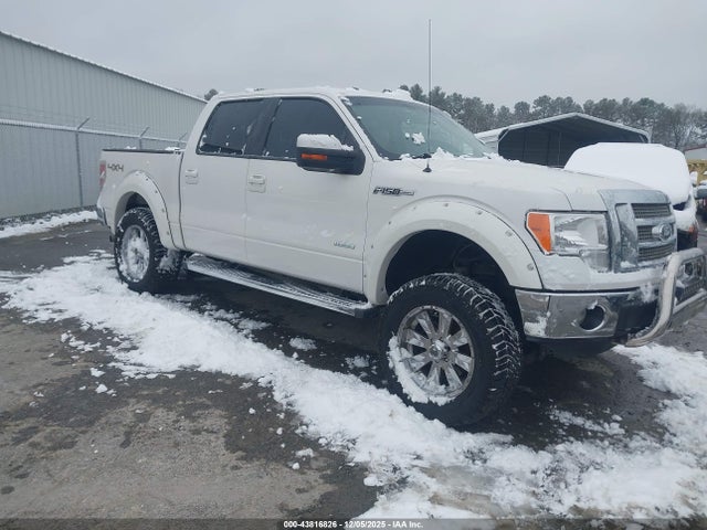 2012 FORD F-150 1FTFW1ETXCFB08791