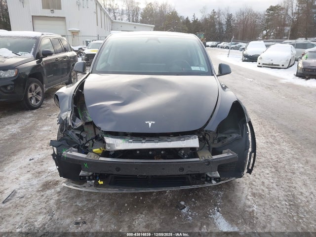 Продаж на аукціоні авто 2025 Tesla Model Y Long Range Dual Motor All-wheel Drive, vin: 7SAYGDEE3SF293331, номер лоту: 43816839