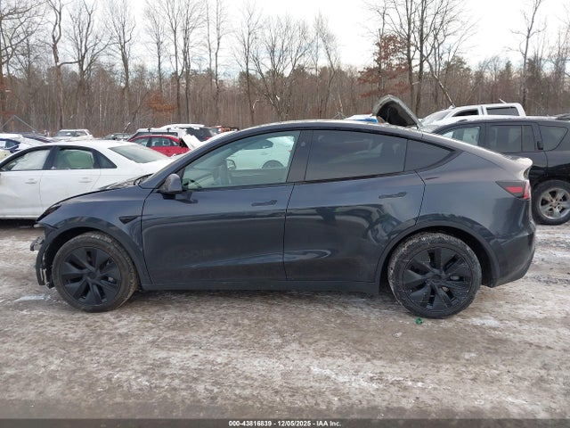 Продаж на аукціоні авто 2025 Tesla Model Y Long Range Dual Motor All-wheel Drive, vin: 7SAYGDEE3SF293331, номер лоту: 43816839