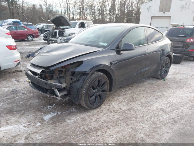 Продаж на аукціоні авто 2025 Tesla Model Y Long Range Dual Motor All-wheel Drive, vin: 7SAYGDEE3SF293331, номер лоту: 43816839