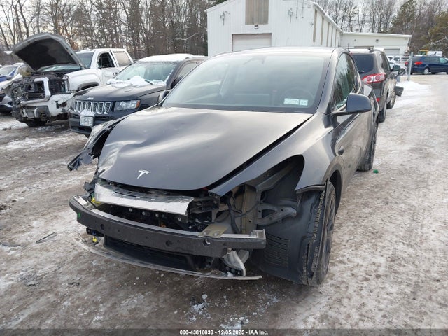 Продаж на аукціоні авто 2025 Tesla Model Y Long Range Dual Motor All-wheel Drive, vin: 7SAYGDEE3SF293331, номер лоту: 43816839
