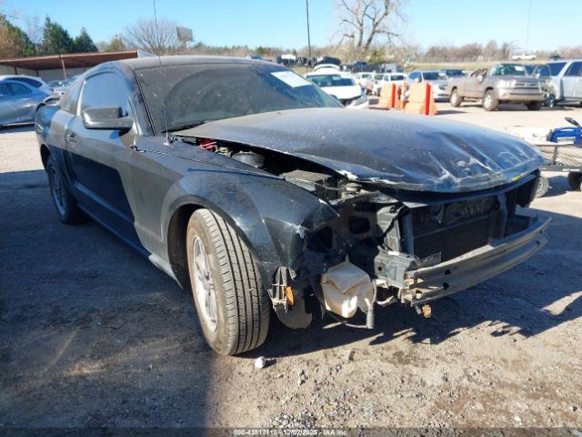 2005 FORD MUSTANG 1ZVFT80N555204165