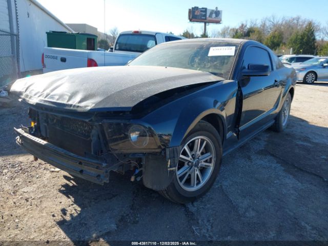 2005 FORD MUSTANG 1ZVFT80N555204165 Photo 1
