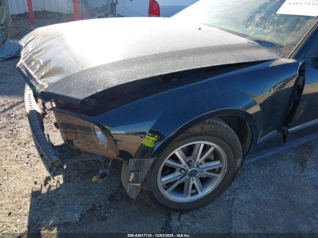 2005 FORD MUSTANG 1ZVFT80N555204165 Photo 5