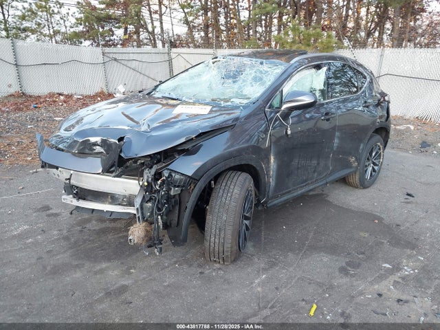 Продажа на аукционе авто 2024 Lexus Nx 350, vin: 2T2AGCEZ1RC033922, номер лота: 43817788