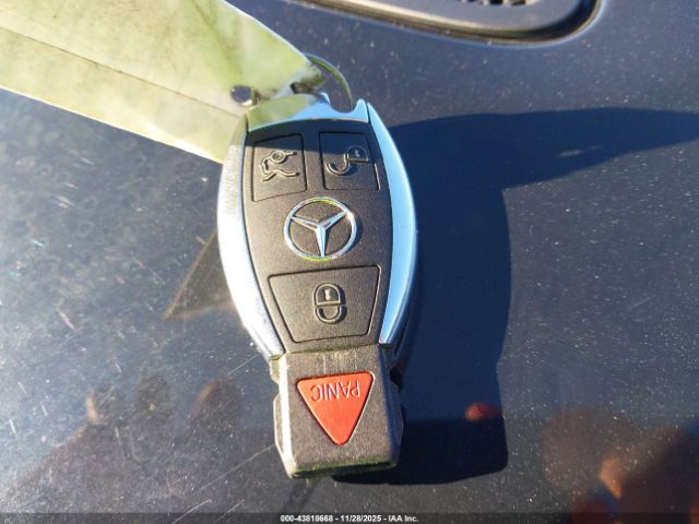 2013 MERCEDES-BENZ GL 450 4JGDF7CE4DA236372 Photo 10