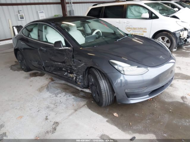 2019 TESLA MODEL 3 5YJ3E1EB8KF406725