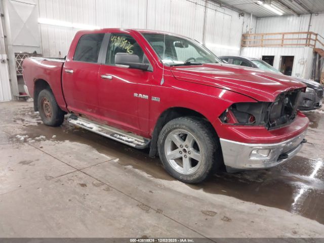 2009 DODGE RAM 1500 1D3HV13T09S771230