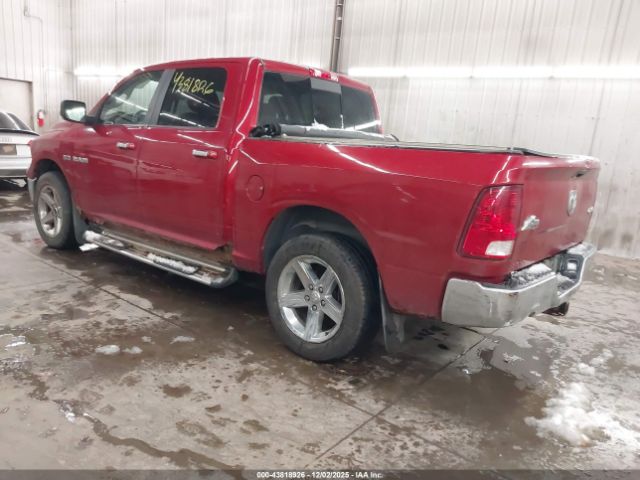 2009 DODGE RAM 1500 1D3HV13T09S771230 Photo 2