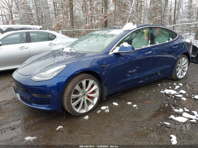 2019 TESLA MODEL 3 5YJ3E1EB6KF393599 Photo 1