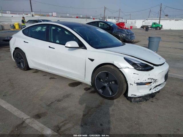 2023 TESLA MODEL 3 5YJ3E1EA1PF397994 Photo 0