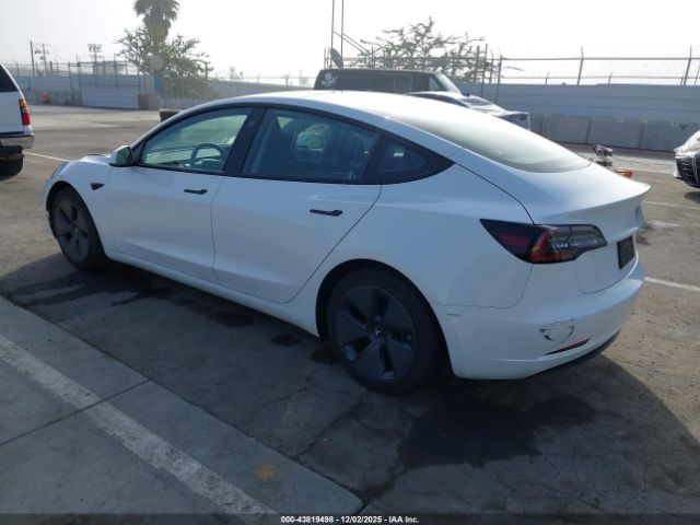 2023 TESLA MODEL 3 5YJ3E1EA1PF397994 Photo 2