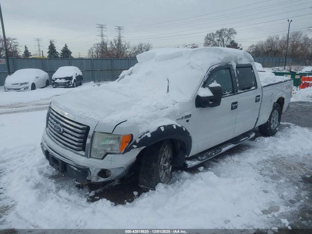 Продажа на аукционе авто 2010 Ford F-150 Fx4/harley-davidson/king Ranch/lariat/platinum/xl/xlt, vin: 1FTFW1EV3AFA59402, номер лота: 43819520