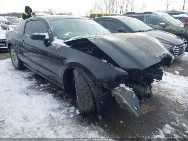 2014 FORD MUSTANG 1ZVBP8AM5E5251446 Photo 0