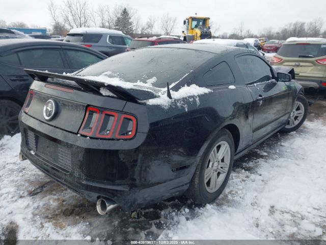 2014 FORD MUSTANG 1ZVBP8AM5E5251446 Photo 3