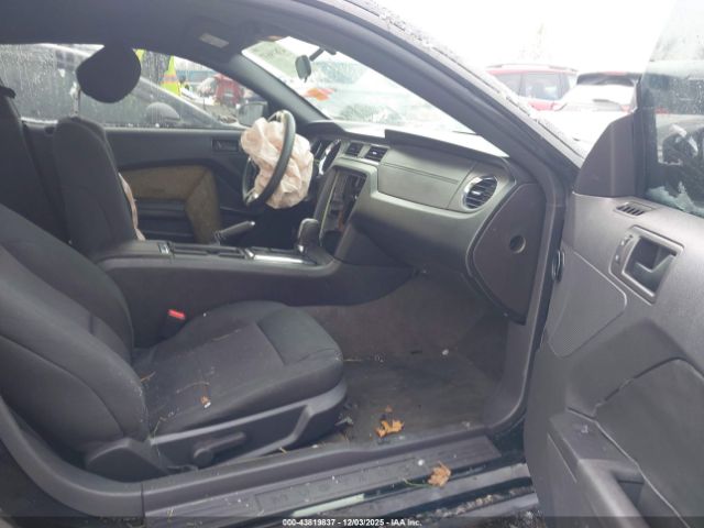 2014 FORD MUSTANG 1ZVBP8AM5E5251446 Photo 4