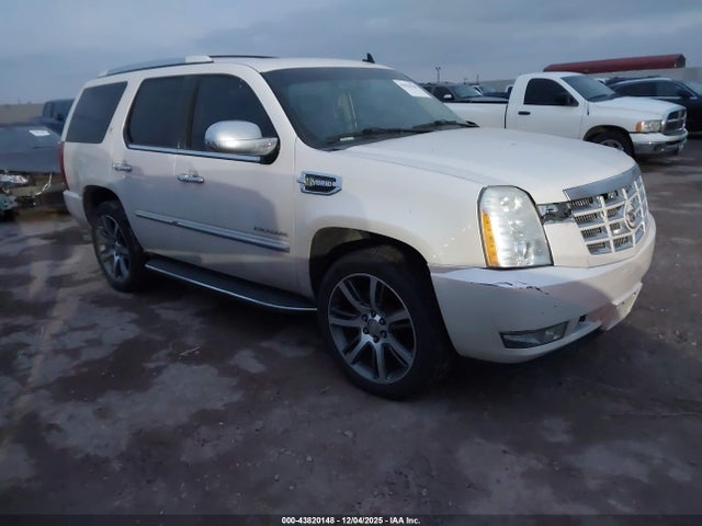 2010 CADILLAC ESCALADE HYBRID 1GYUKEEJ5AR197930 Photo 0