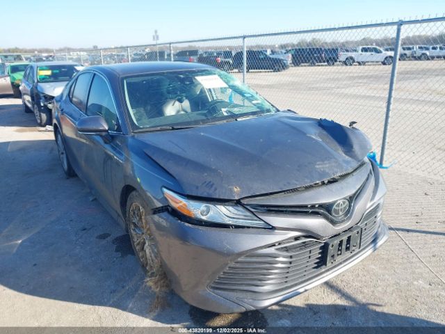 2020 TOYOTA CAMRY 4T1F11AK6LU987659