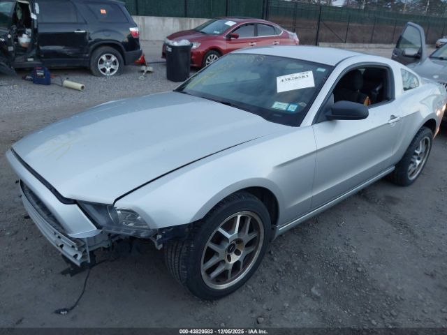 2013 FORD MUSTANG 1ZVBP8AM6D5241829 Photo 1