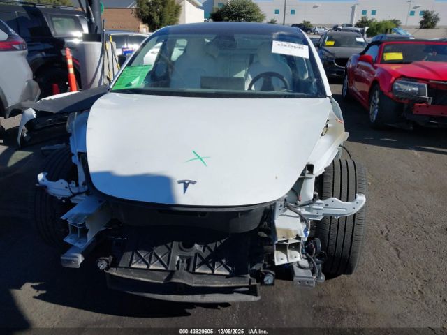 2023 TESLA MODEL 3 5YJ3E1EA2PF398491 Photo 5