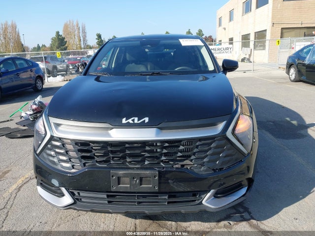 KNDPUCAG4P7052930 KIA Sportage Hybrid Lx