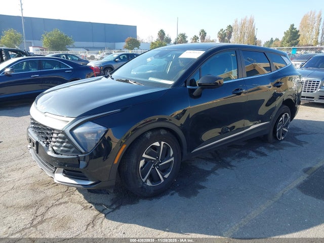 KNDPUCAG4P7052930 KIA Sportage Hybrid Lx