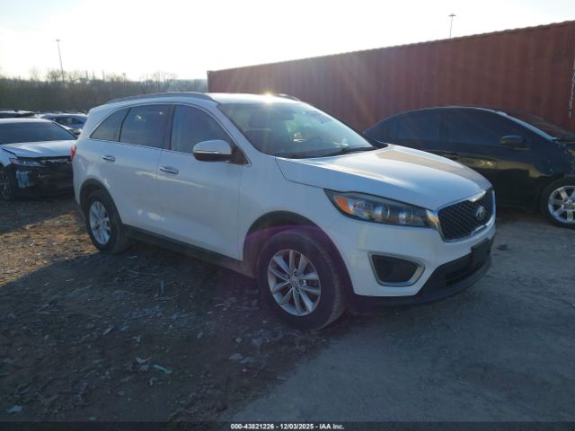 2018 KIA SORENTO 5XYPG4A51JG389142