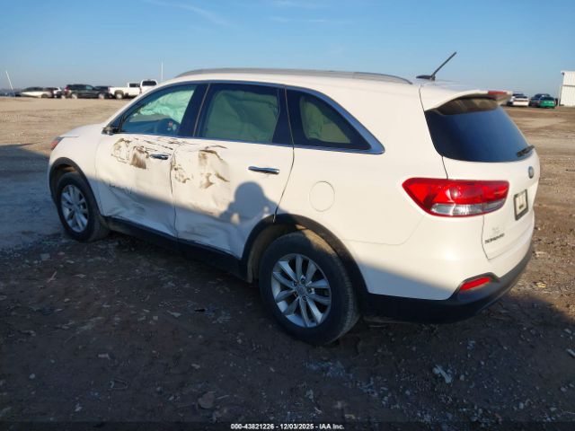 2018 KIA SORENTO 5XYPG4A51JG389142 Photo 2