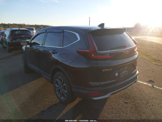 2020 HONDA CR-V 5J6RW2H80LL033749 Photo 2