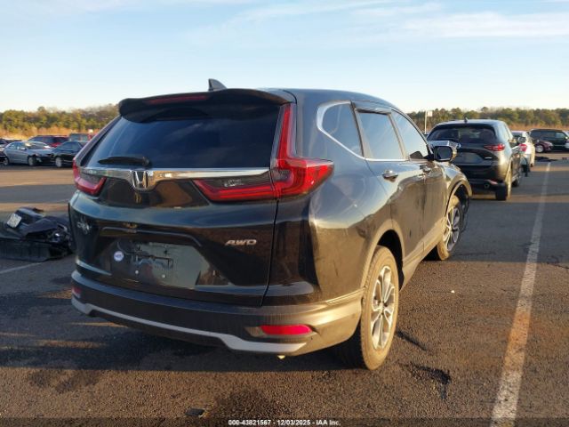 2020 HONDA CR-V 5J6RW2H80LL033749 Photo 3